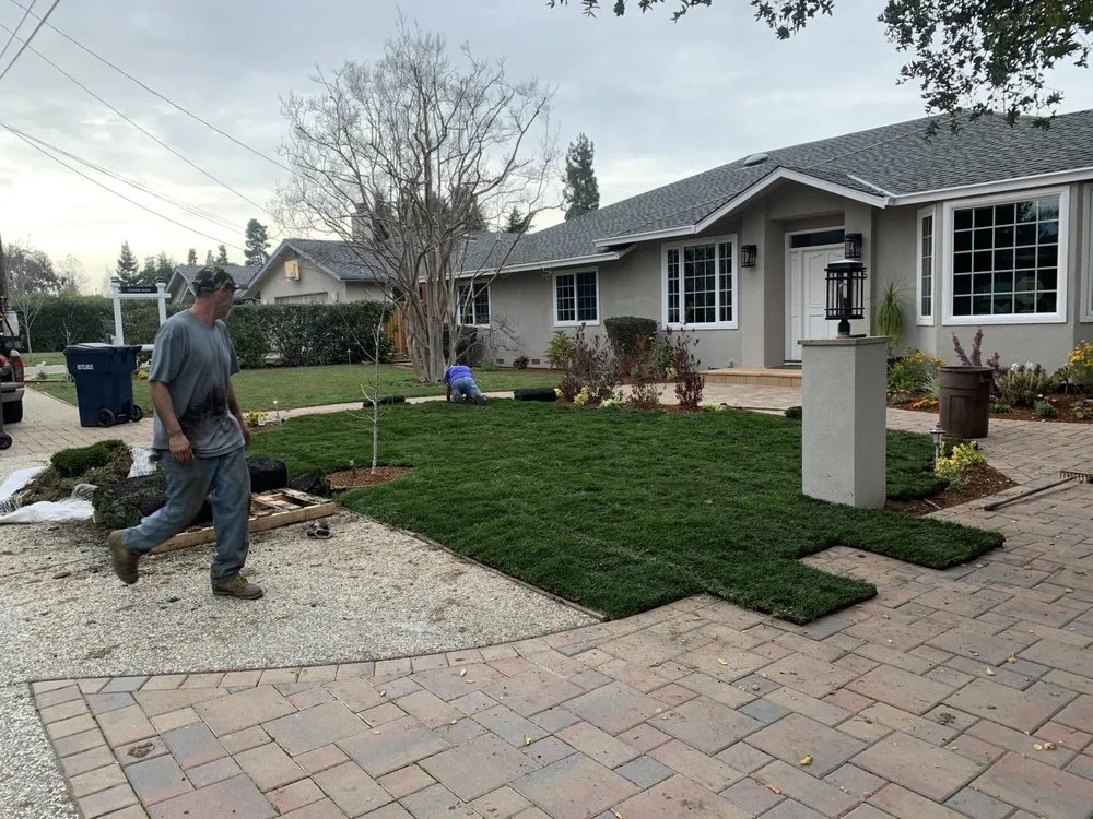 Reliable yard maintenance in San Jose, CA by Silicon Valley Gardening