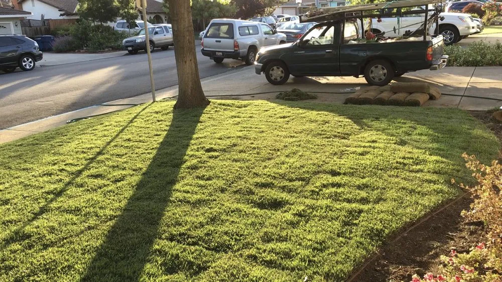 Custom lawn mowing service in San Jose, CA by Silicon Valley Gardening