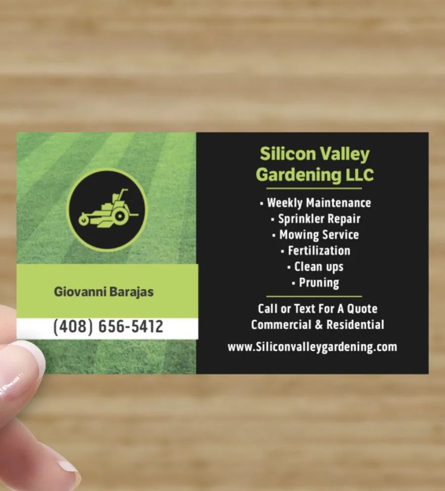 Custom yard cleanup service near you in San Jose, CA by Silicon Valley Gardening