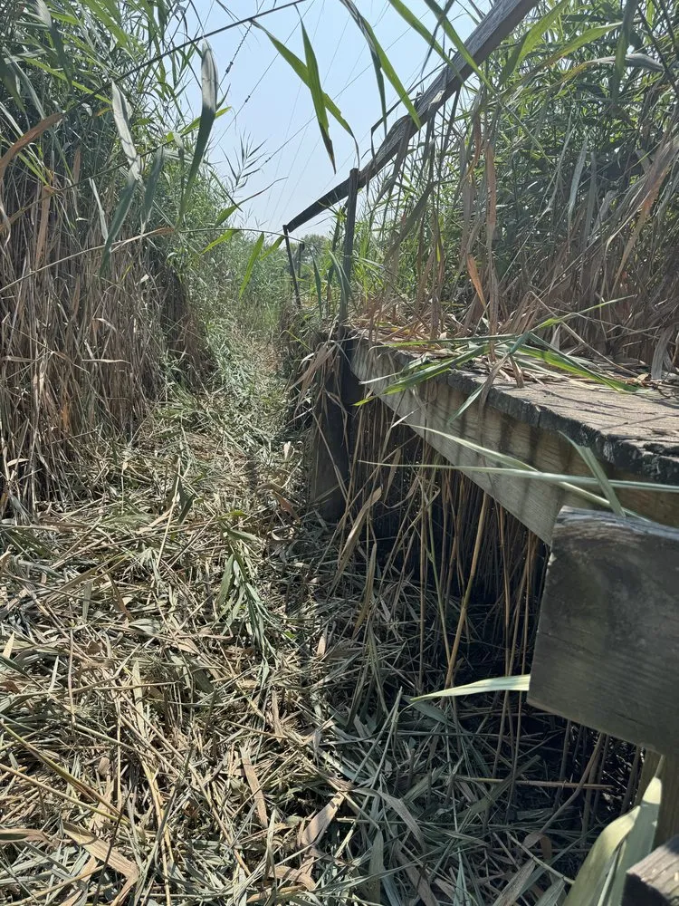 Professional landscape design with custom design across Clifton, NJ - Silk City Handyman