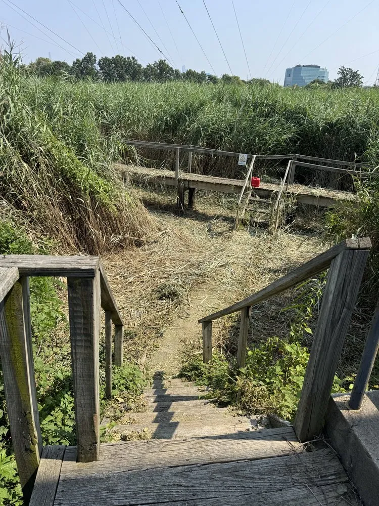 Top-rated garden landscaping with custom design in Clifton, NJ by Silk City Handyman