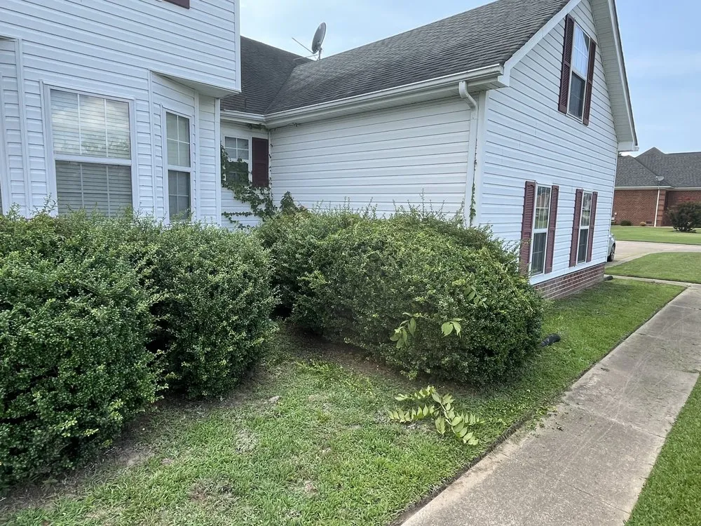 Trusted yard maintenance for residential properties across Newport News, VA - Sills Lawncare