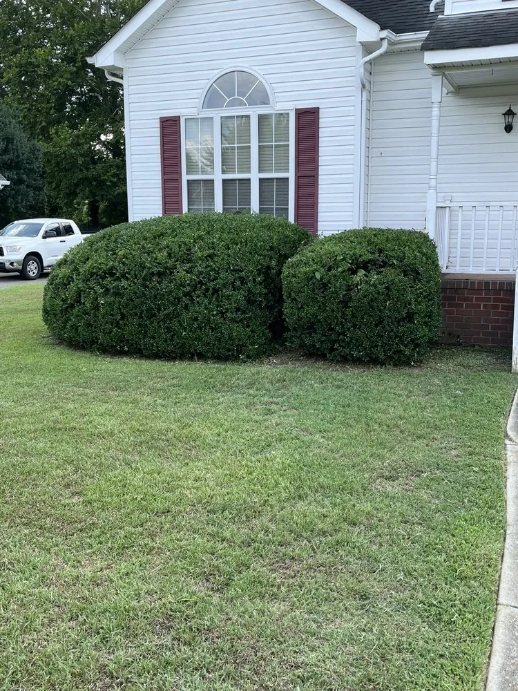 Custom yard cleanup service in Newport News, VA by Sills Lawncare