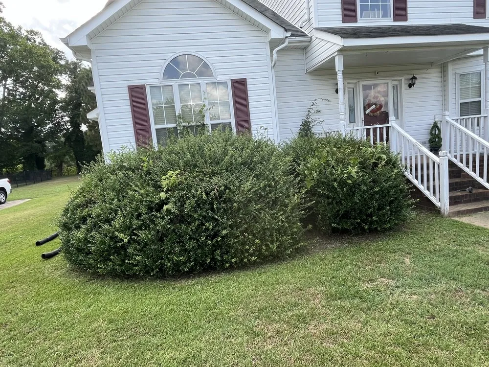 Professional landscaping services for outdoor upgrades across Newport News, VA - Sills Lawncare