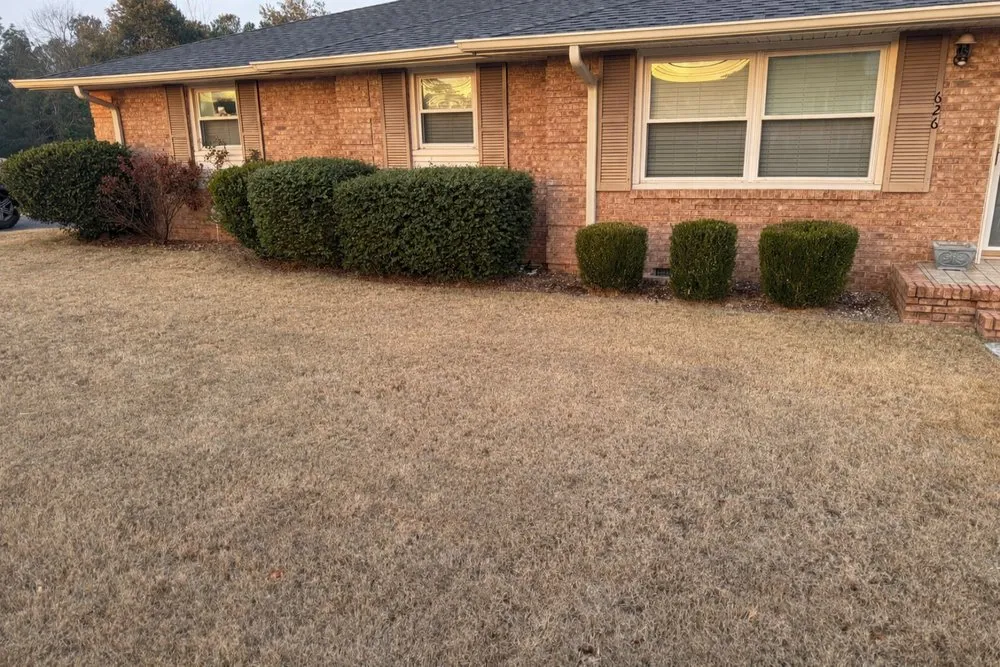 Professional lawn care service in Augusta, GA by Silman Landscape Development