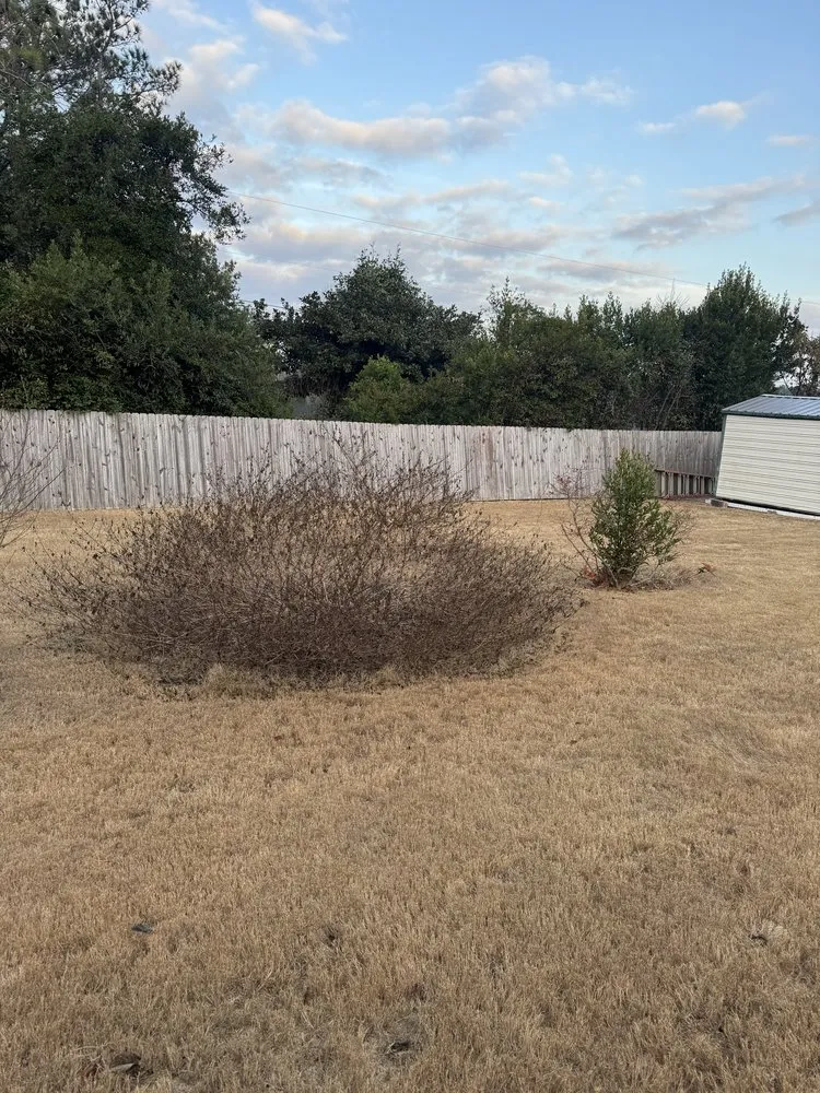 Expert outdoor landscaping in Augusta, GA - Silman Landscape Development