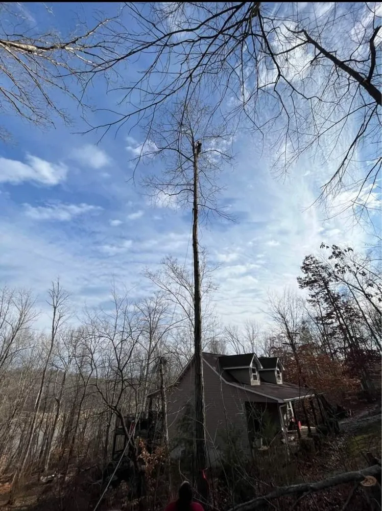 Trusted landscape installation experts serving Leitchfield, KY - Silman's Lawn, Land & Tree