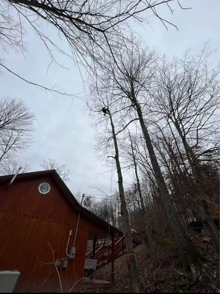 Professional yard maintenance in Leitchfield, KY - Silman's Lawn, Land & Tree