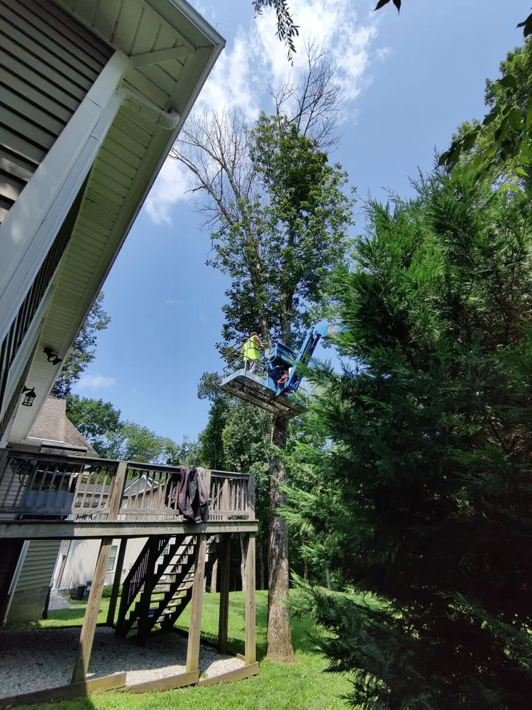 Trusted lawn mowing service experts serving Leitchfield, KY - Silman's Lawn, Land & Tree