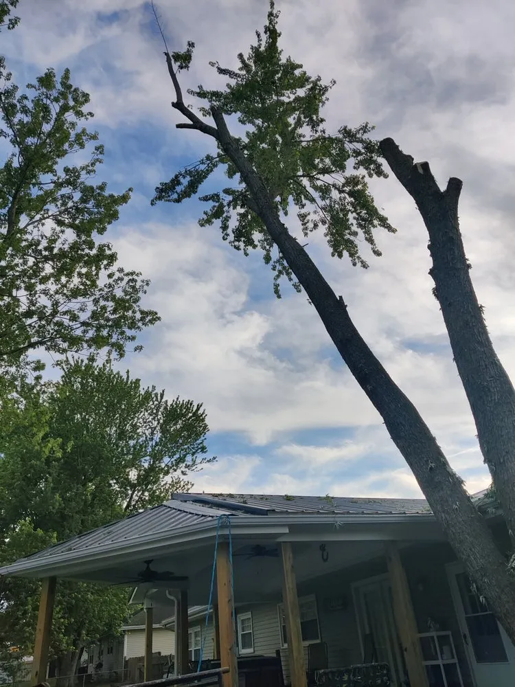 Custom lawn care service for residential properties across Leitchfield, KY - Silman's Lawn, Land & Tree