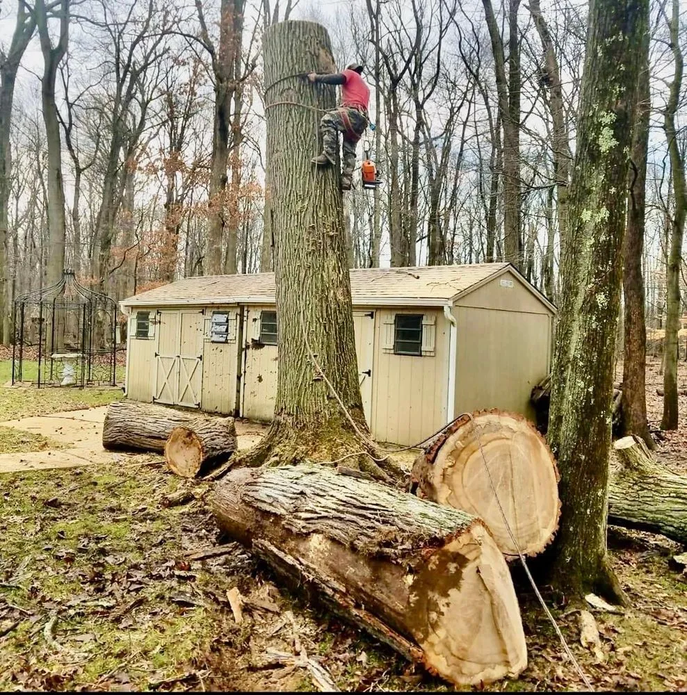 Expert residential landscaping experts serving South Brunswick Township, NJ - Silva C Tree Service & Landscaping