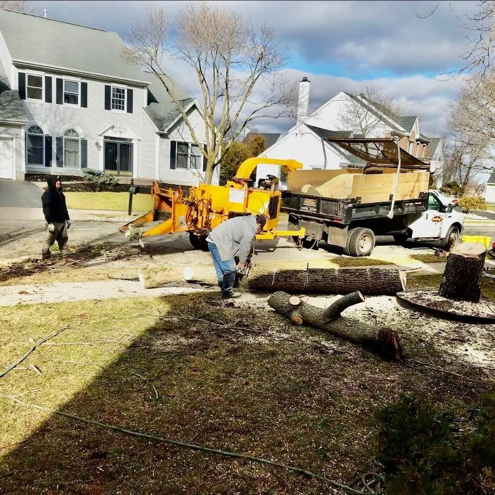 Custom lawn care service for residential properties in South Brunswick Township, NJ by Silva C Tree Service & Landscaping