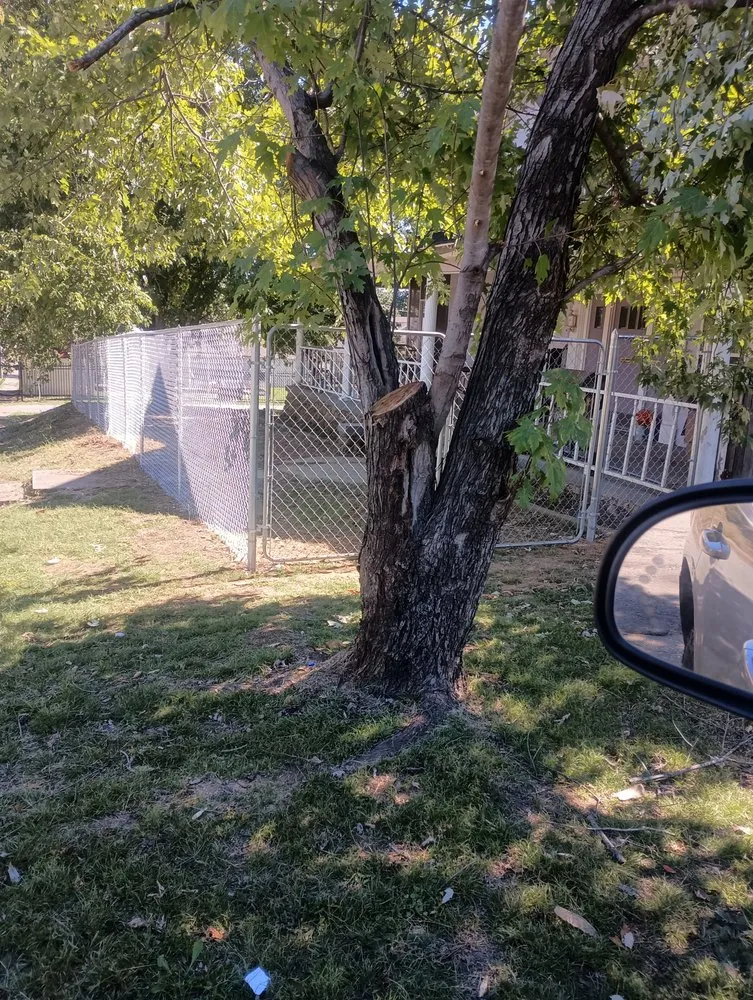 Expert lawn care service in Heavener, OK - Silva Landscaping & Handyman