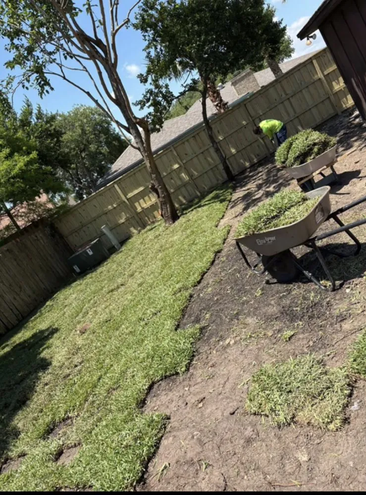 Top-rated outdoor landscaping for residential properties in Pasadena, TX by Silva Lawn & Land Services