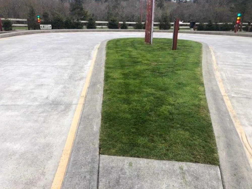 Custom landscaping services for year-round maintenance across Gearhart, OR - Silva Lawn Care