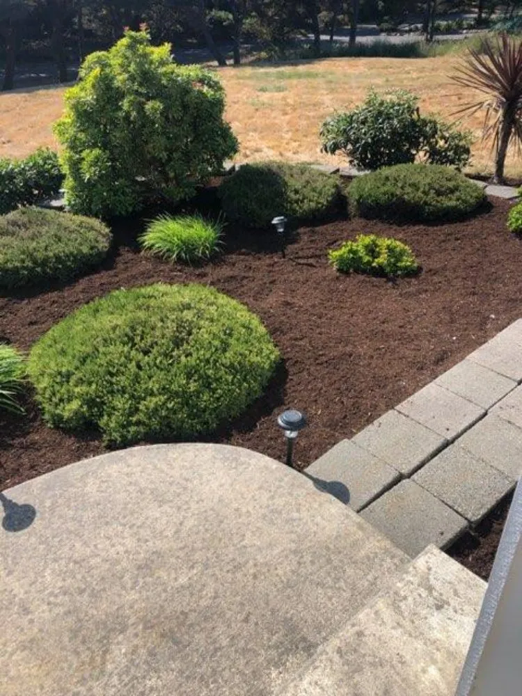 Affordable garden landscaping in Gearhart, OR - Silva Lawn Care