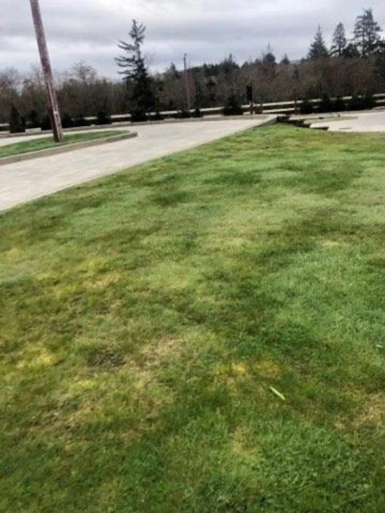 Reliable landscape design with custom design in Gearhart, OR by Silva Lawn Care