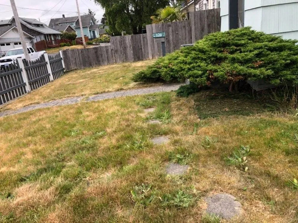 Professional yard cleanup service in Gearhart, OR - Silva Lawn Care