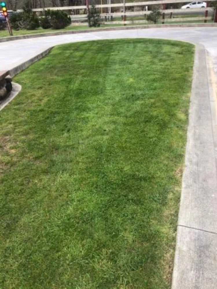 Professional lawn mowing service in Gearhart, OR by Silva Lawn Care