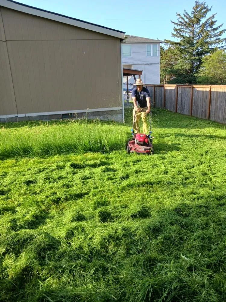 Custom yard cleanup service for year-round maintenance across Gearhart, OR - Silva Lawn Care