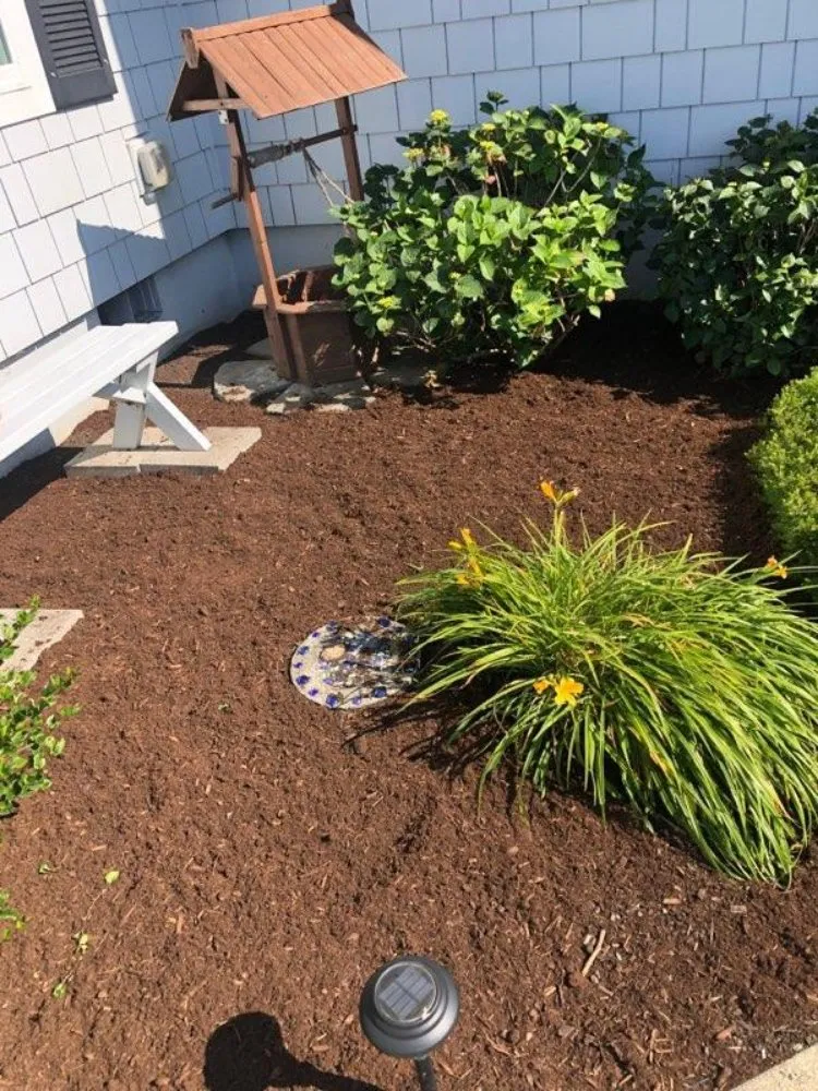 Reliable yard cleanup service in Gearhart, OR - Silva Lawn Care