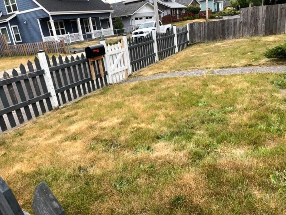 Custom landscape installation experts serving Gearhart, OR - Silva Lawn Care
