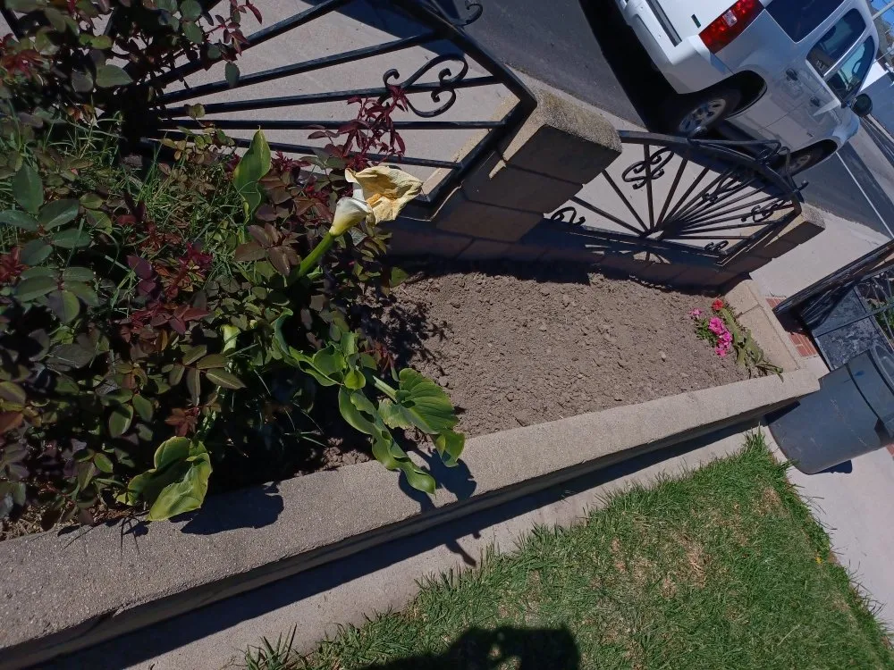 Expert outdoor landscaping in Oxnard, CA by Silva Services