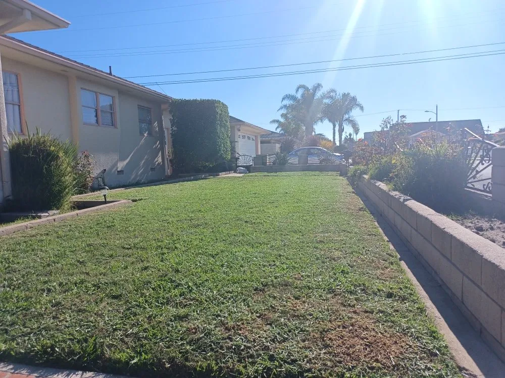 Affordable lawn care service in Oxnard, CA by Silva Services