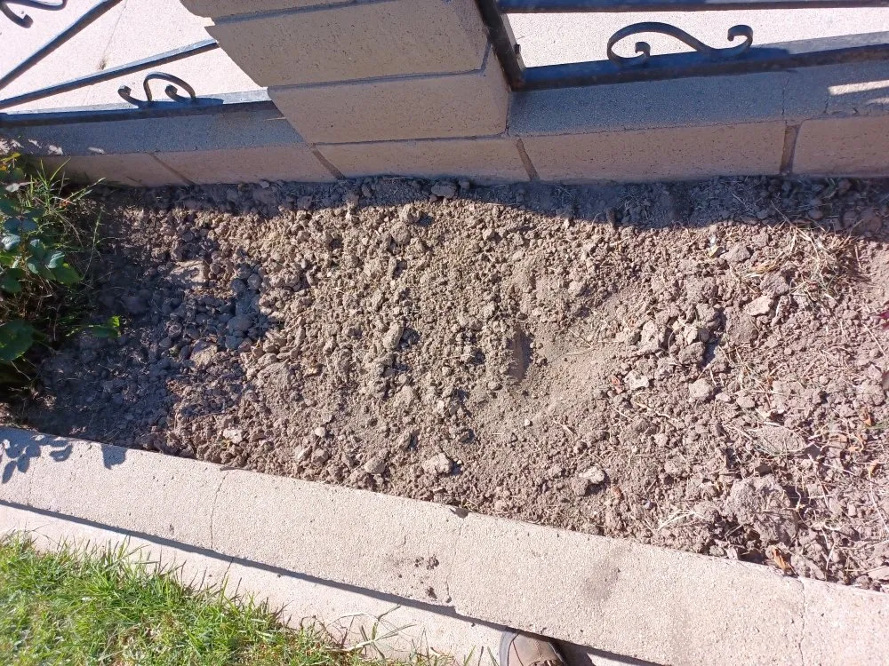 Custom landscaping services experts serving Oxnard, CA - Silva Services