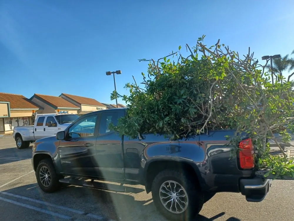 Custom residential landscaping for residential properties across Oxnard, CA - Silva Services