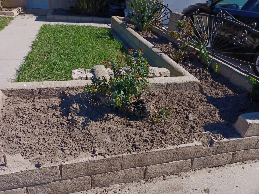 Professional residential landscaping in Oxnard, CA by Silva Services
