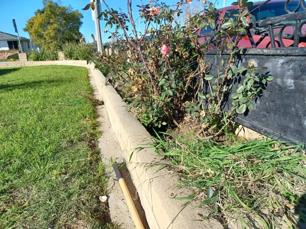 Professional garden landscaping in Oxnard, CA - Silva Services