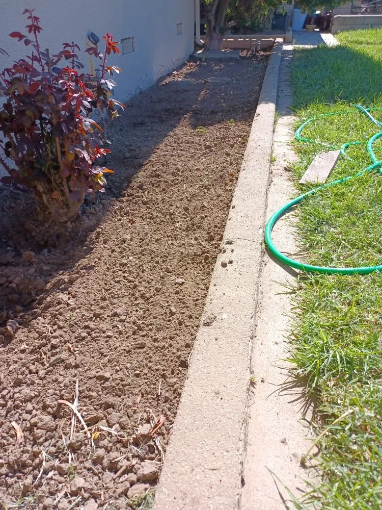 Professional landscaping services experts serving Oxnard, CA - Silva Services