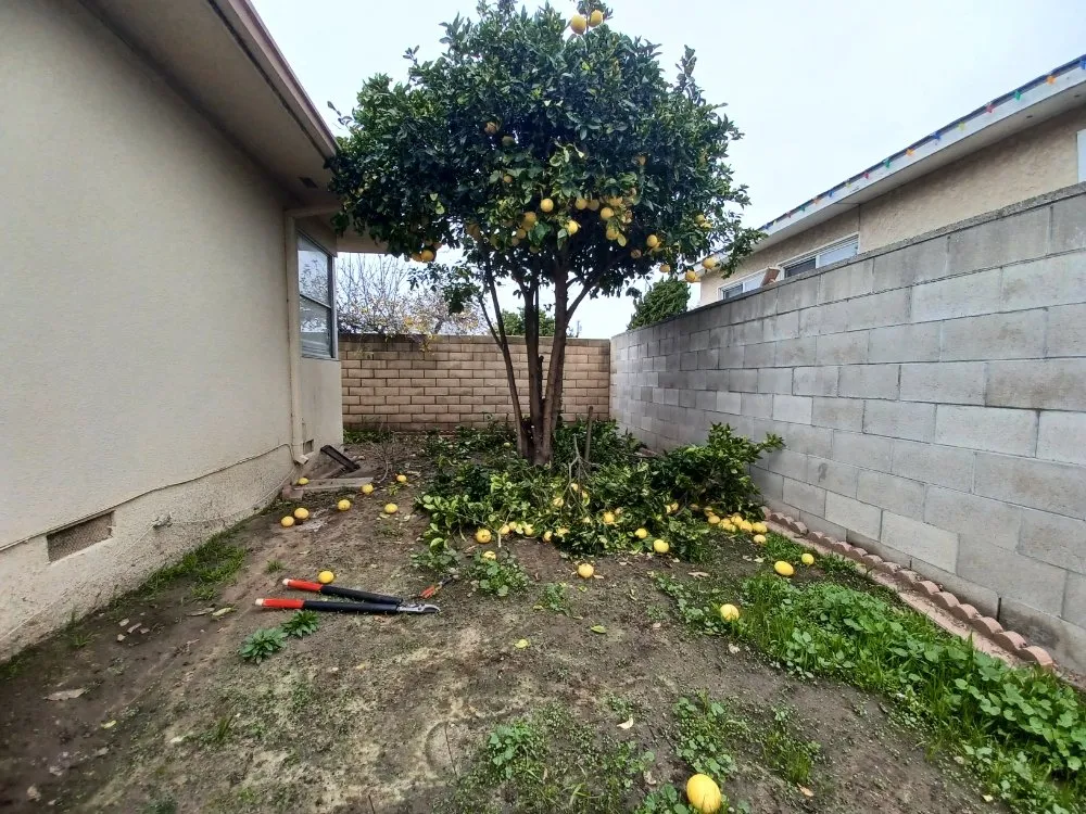 Affordable garden landscaping in Oxnard, CA - Silva Services