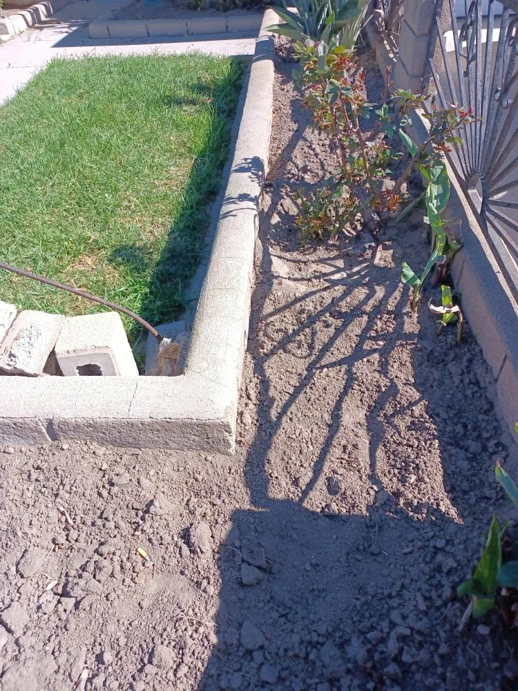 Custom yard maintenance in Oxnard, CA - Silva Services