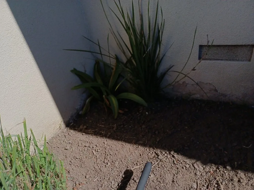 Affordable landscaping services in Oxnard, CA by Silva Services