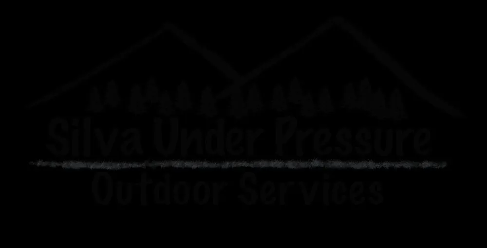 Trusted lawn care service with custom design across Dalton, NH - Silva Under Pressure