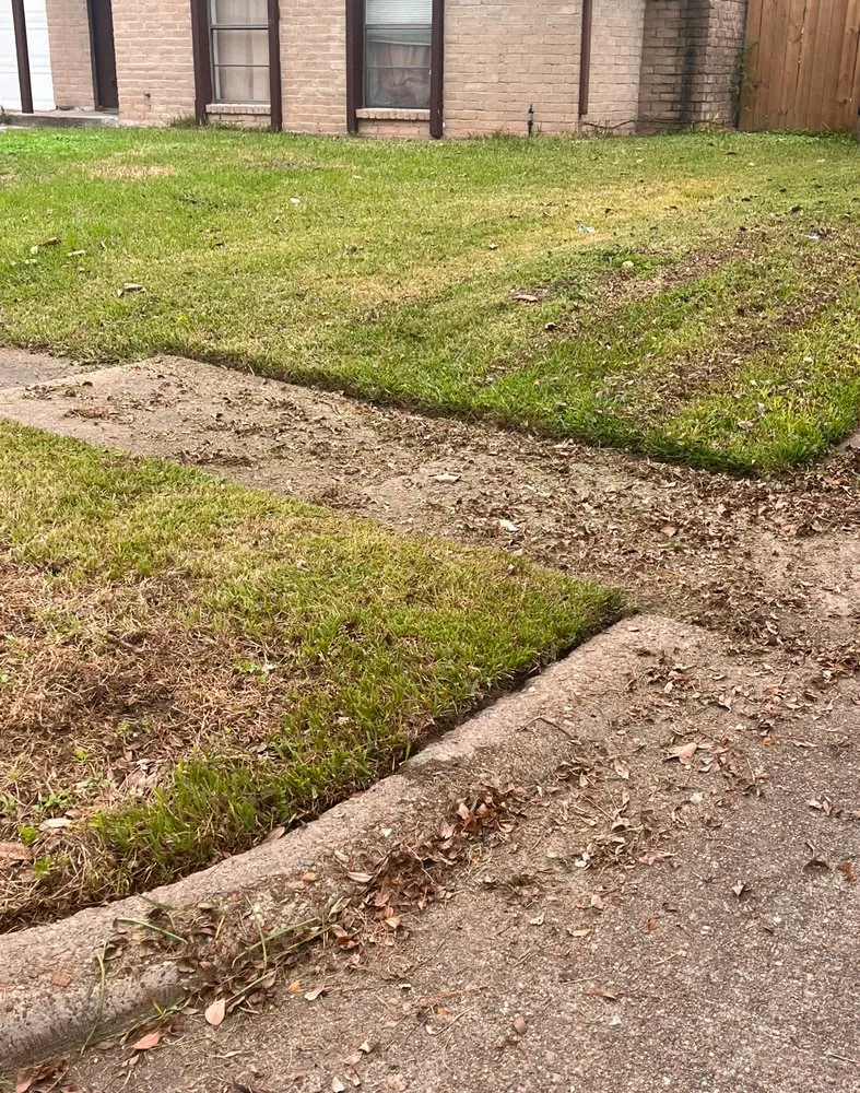 Expert landscape installation for outdoor upgrades across Houston, TX - Silva Yardwork Services