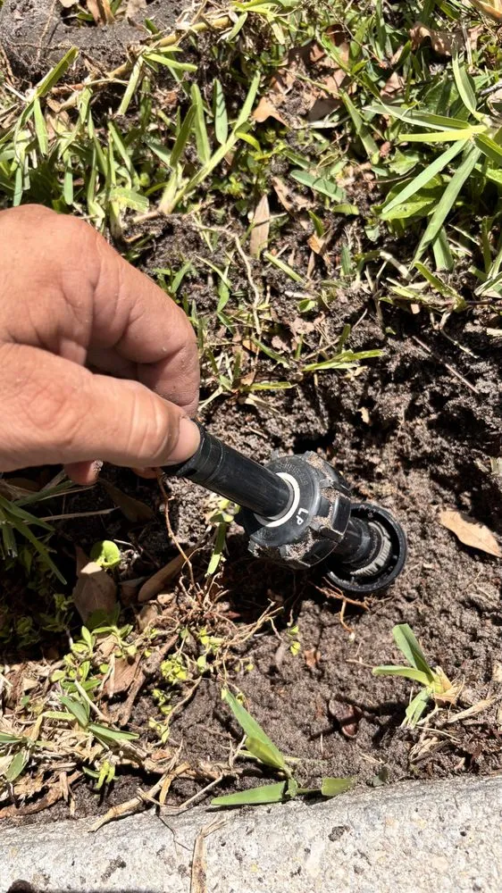 Custom lawn care service in Bonita Springs, FL by Silva’s Great Lawn Services