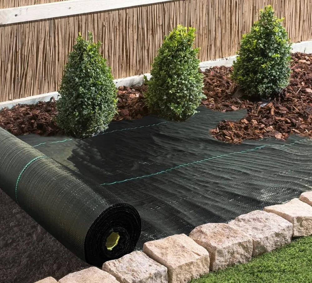 Professional yard maintenance for year-round maintenance in Bonita Springs, FL by Silva’s Great Lawn Services