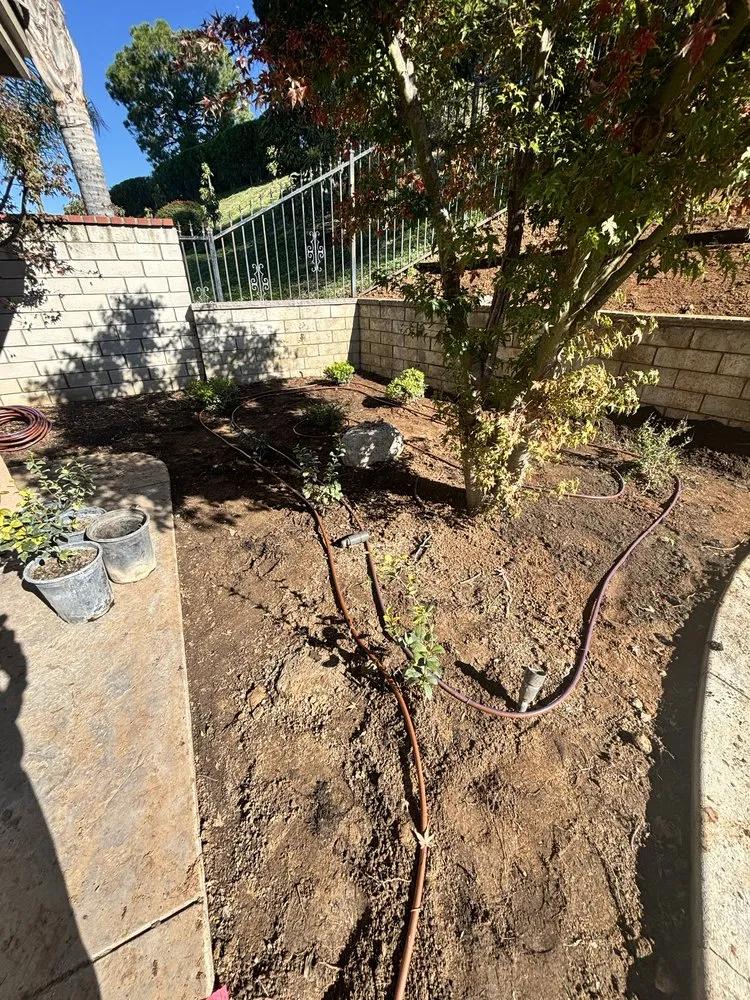 Custom yard cleanup service experts serving Bloomington, CA - Silva’s Landscaping & Lawn Care