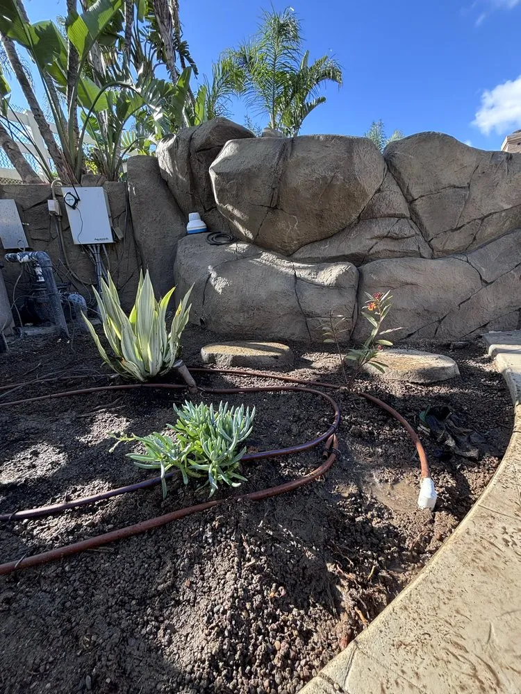 Professional landscape installation in Bloomington, CA - Silva’s Landscaping & Lawn Care