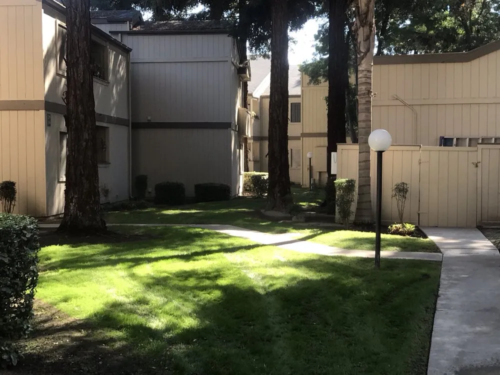 Reliable lawn mowing service in Ivanhoe, CA by Silvas Landscaping Co