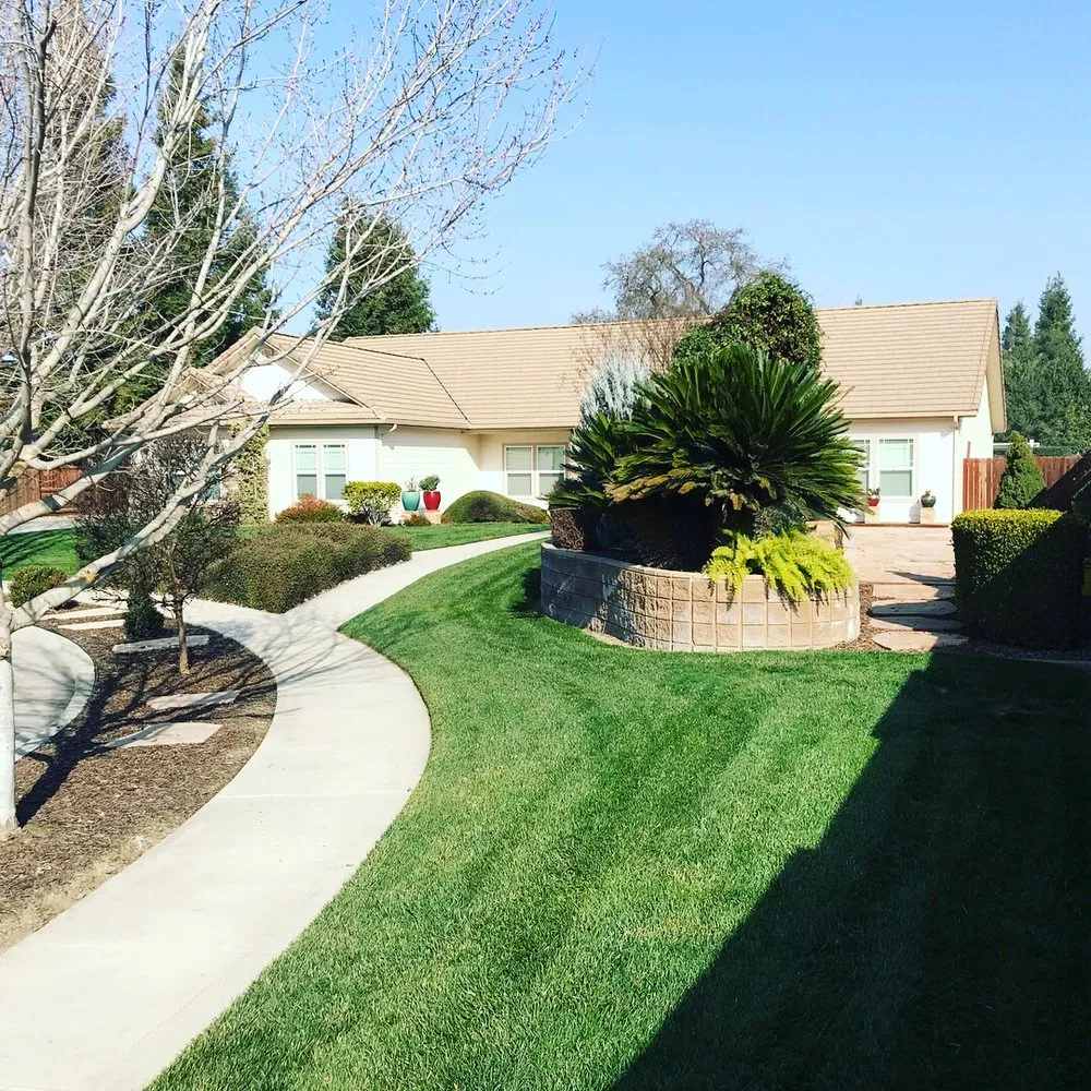 Expert yard cleanup service for year-round maintenance in Ivanhoe, CA by Silvas Landscaping Co