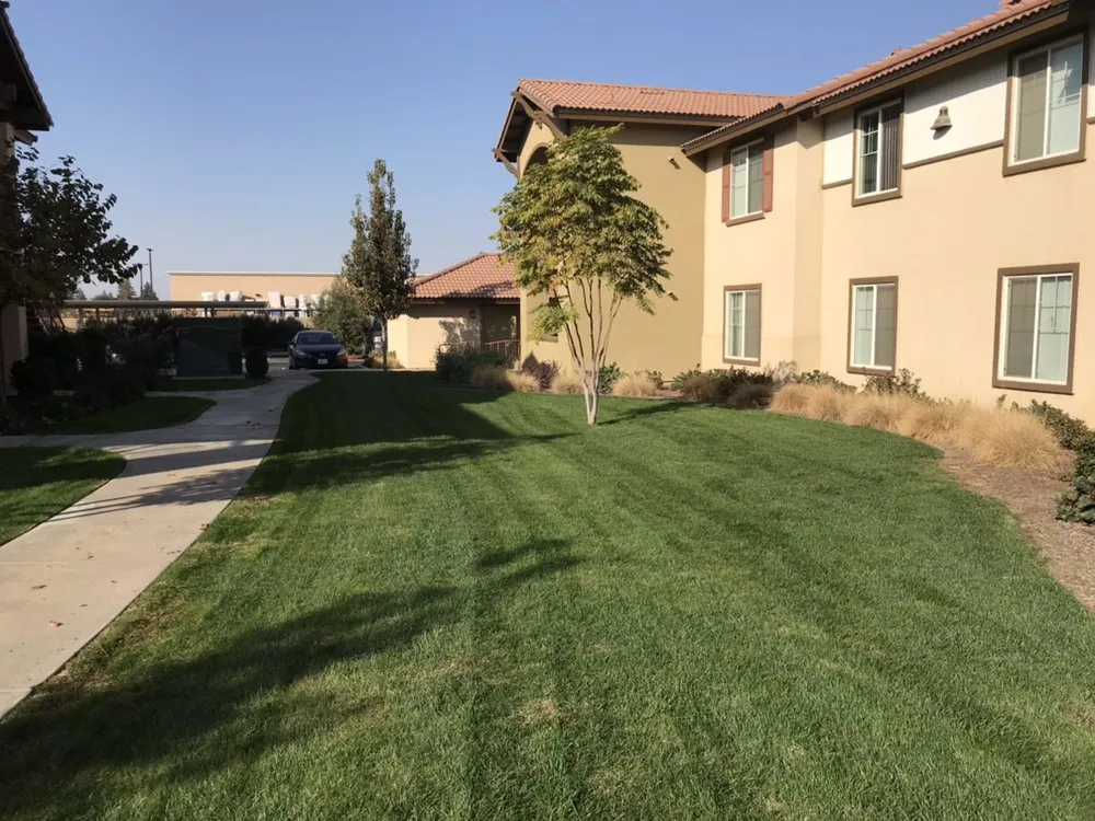 Affordable outdoor landscaping for homes in Ivanhoe, CA by Silvas Landscaping Co