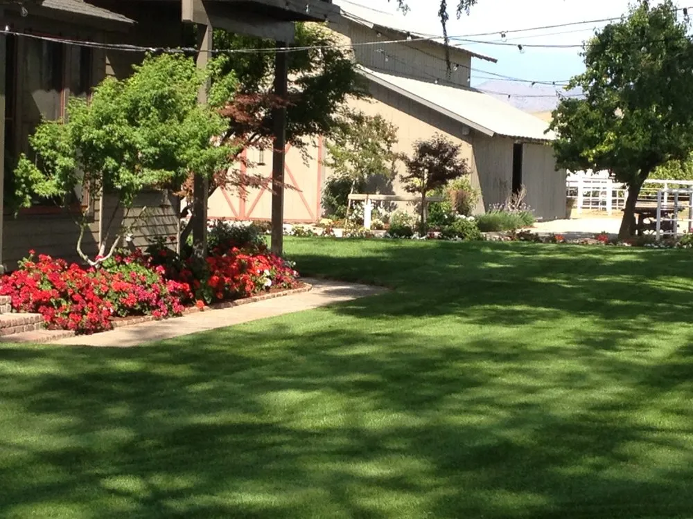 Top-rated lawn mowing service near you in Ivanhoe, CA by Silvas Landscaping Co