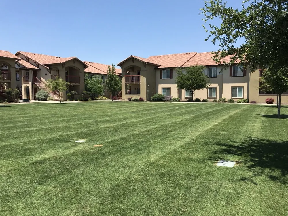 Top-rated yard maintenance for year-round maintenance in Ivanhoe, CA by Silvas Landscaping Co
