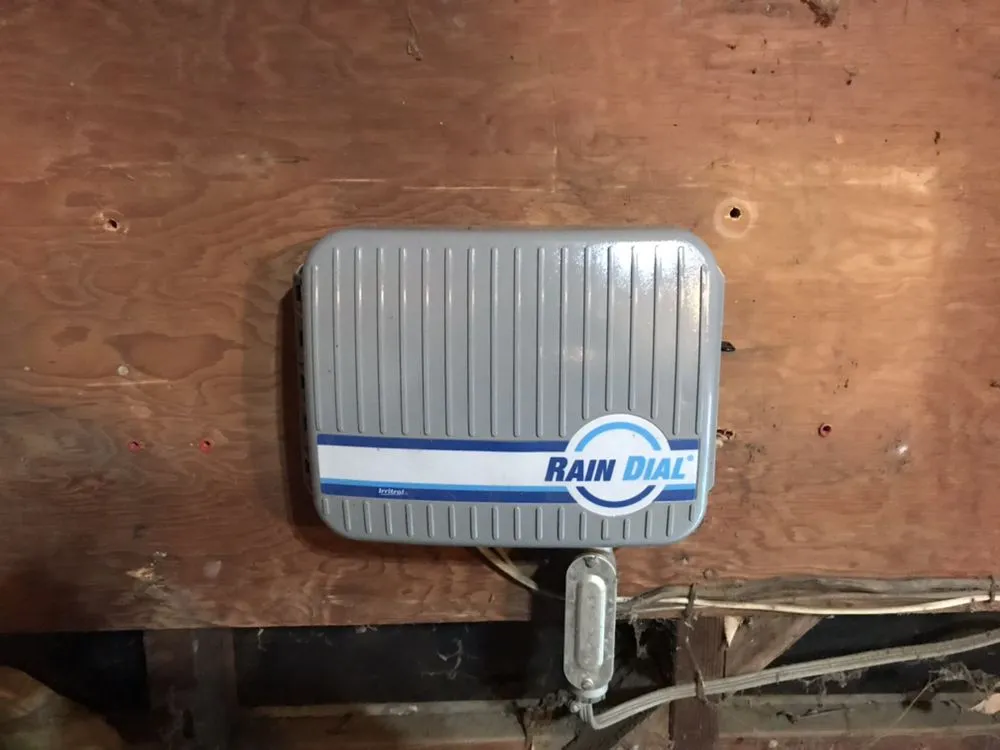 Expert yard cleanup service experts serving Ivanhoe, CA - Silvas Landscaping Co