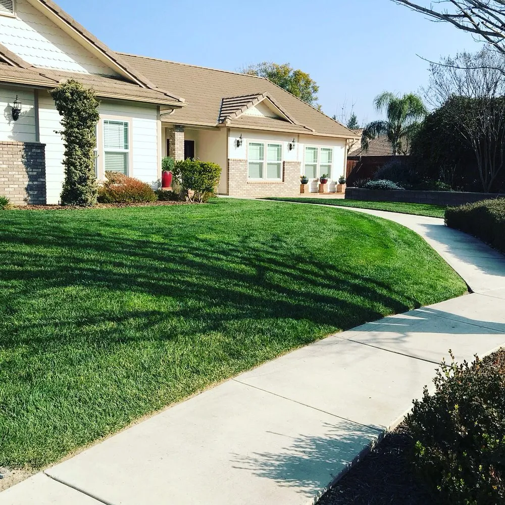 Top-rated landscape installation for homes in Ivanhoe, CA by Silvas Landscaping Co