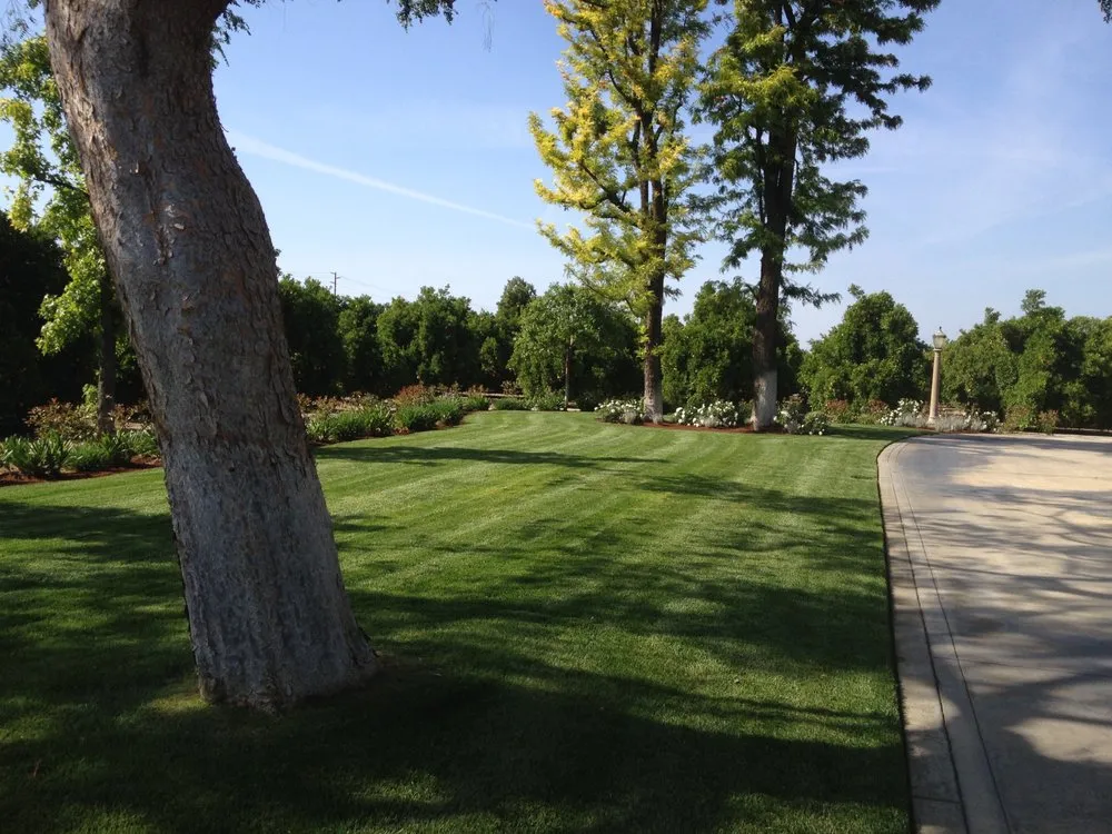 Custom yard maintenance experts serving Ivanhoe, CA - Silvas Landscaping Co